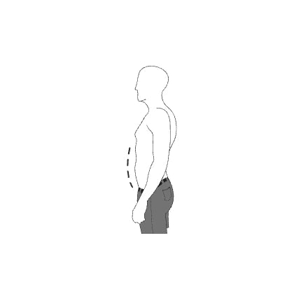 Medium stomach shape